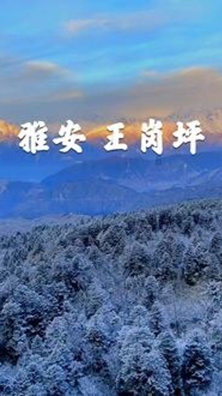 农场漂亮女孩