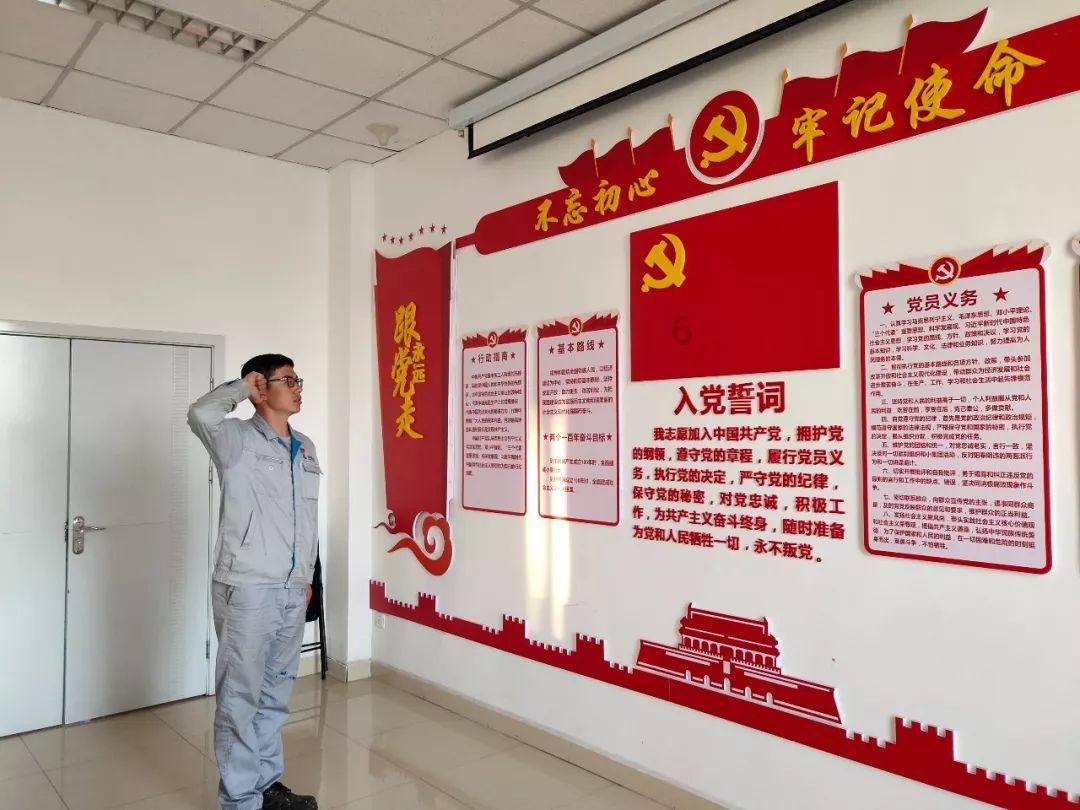 大理一公园养猫替小熊猫“顶岗”？园方澄清：正主藏树上了，猫负责抓老鼠